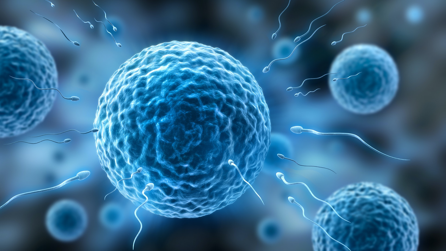 About Obstructive Azoospermia (OA)