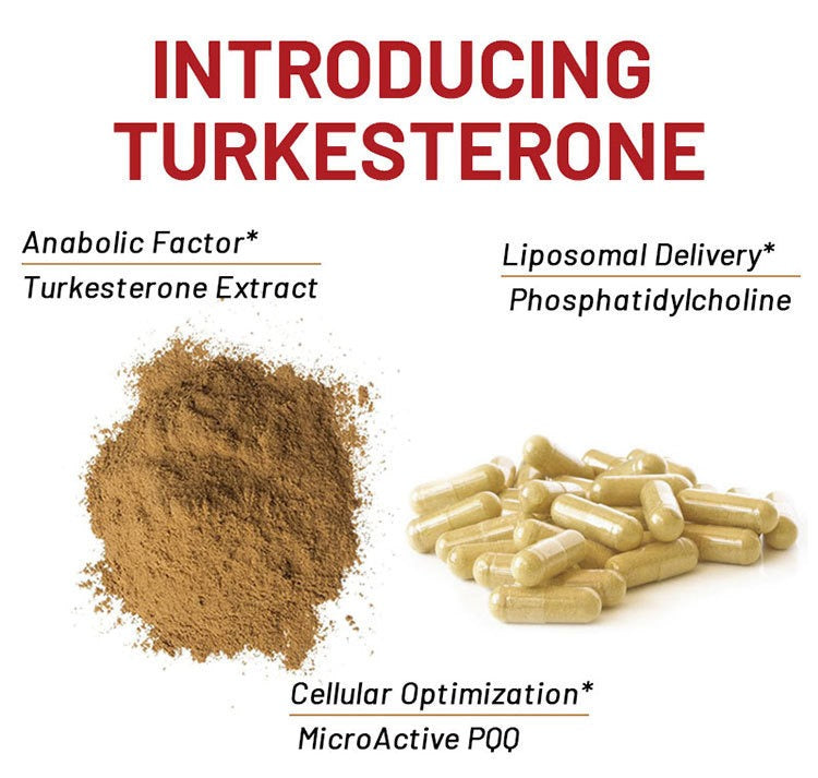 TURKESTERONE  Strengthens muscles